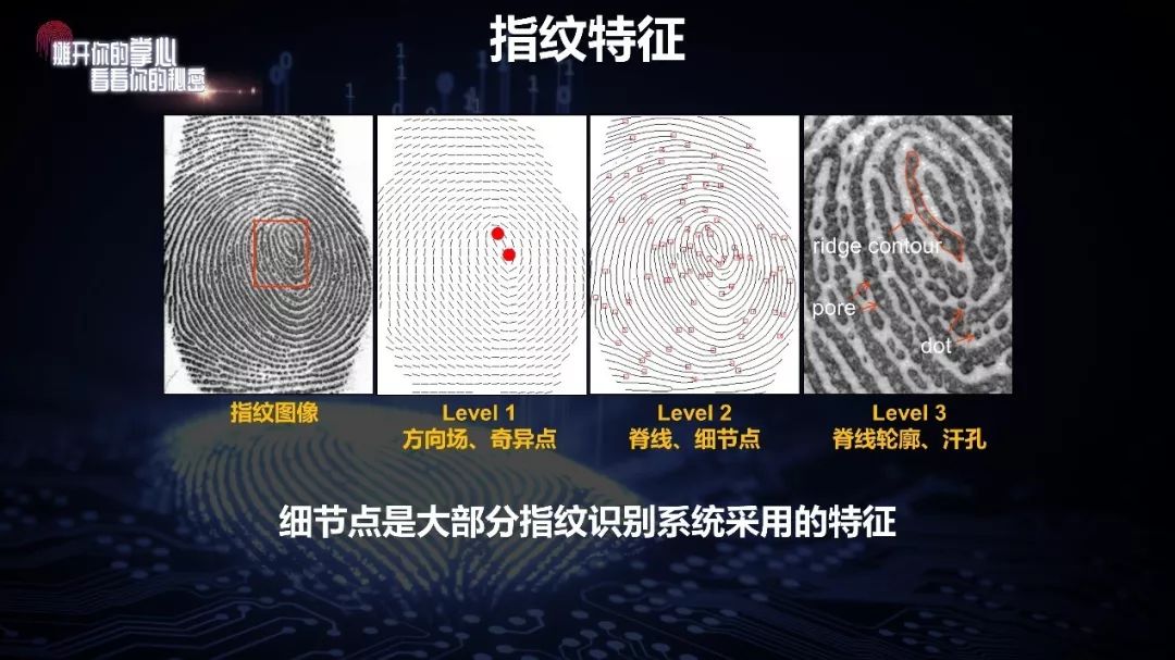 冯建江_指纹