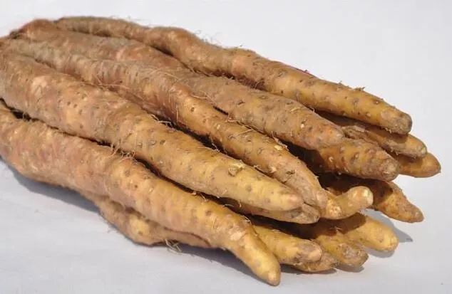如果你吃的是左边这种,很遗憾,它只是普通做菜的食物菜山药,并不像你