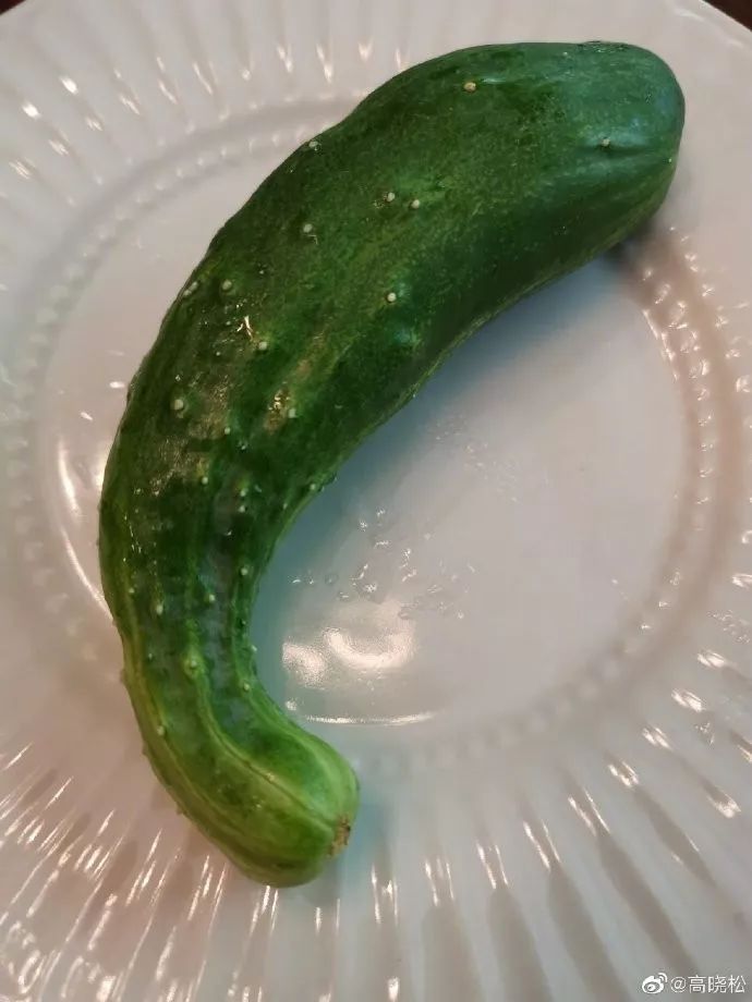 黄瓜矮大紧,玉米高小松丨爆笑囧图