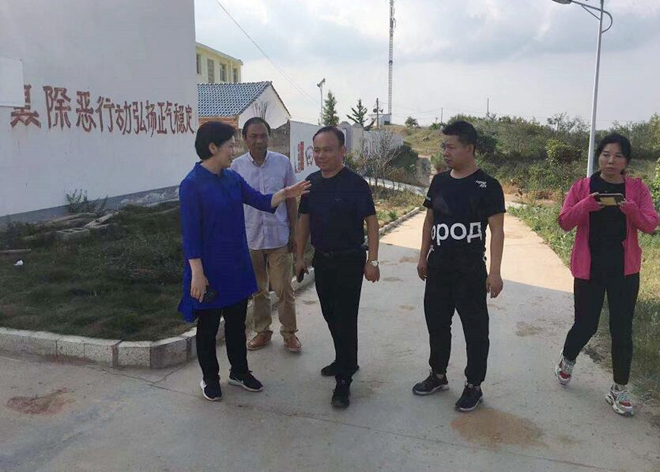 毕道丽到吴山镇联光村督导扶贫工作
