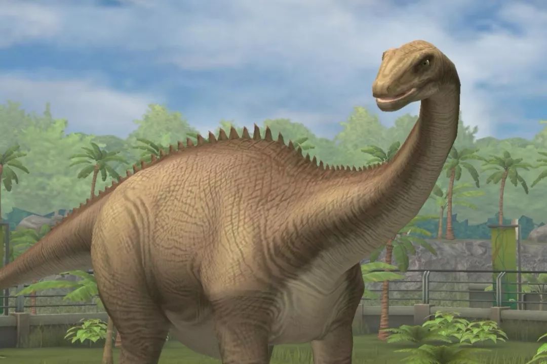 一说到长脖子恐龙,你会想到谁?梁龙!梁龙不仅脖子长,尾巴也很长呢!