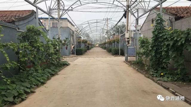 房辛店,小张湾,小杜社,周营,杨秀店,小周易,后银子,小松垡,陈各庄