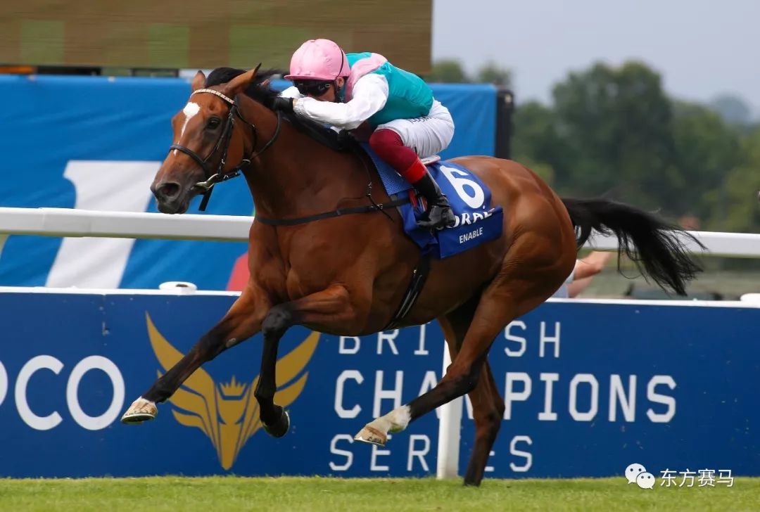 欧洲马王击败世界第一
