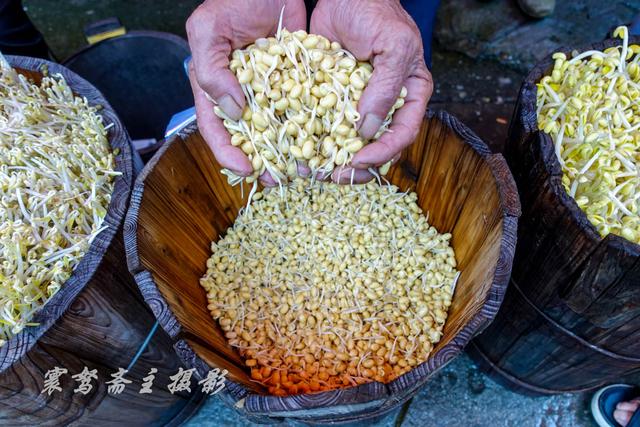 卖豆芽的汉子姓曹,他的木桶里既有黄豆芽,又有绿豆芽,黄豆芽3块,绿豆