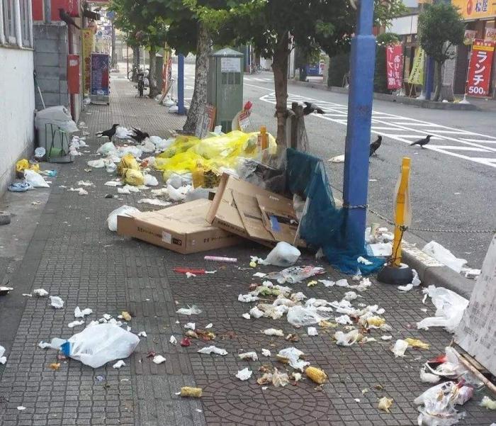 即使街上没有垃圾箱,也很少有人会乱扔垃圾,但无论怎样做环保,人们都