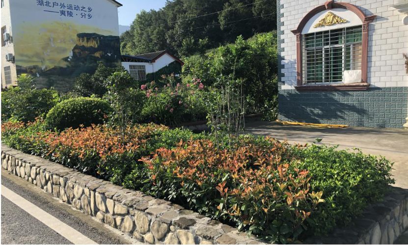 分乡镇美丽庭院pk赛开始投票了快来pick一下