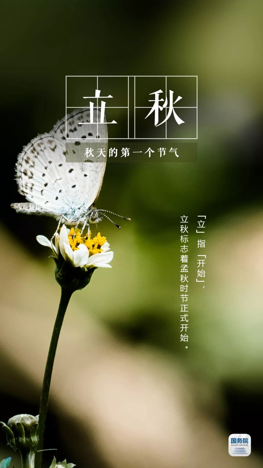 立秋,是秋天的第一个节气,标志着夏天的结束,孟秋时节的正式