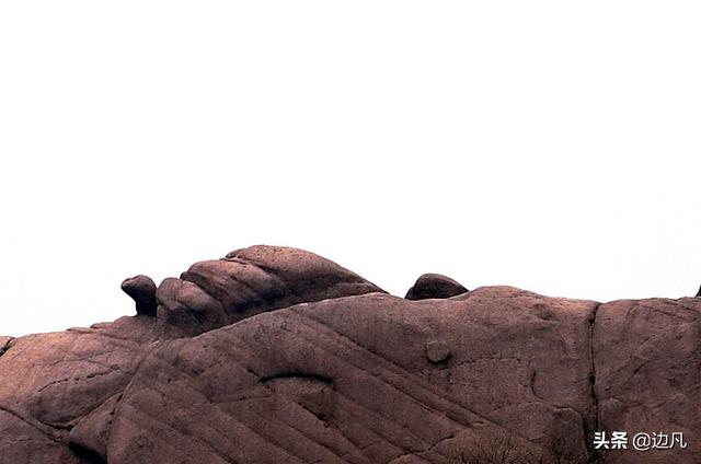 黄山奇石乌龟爬山图片