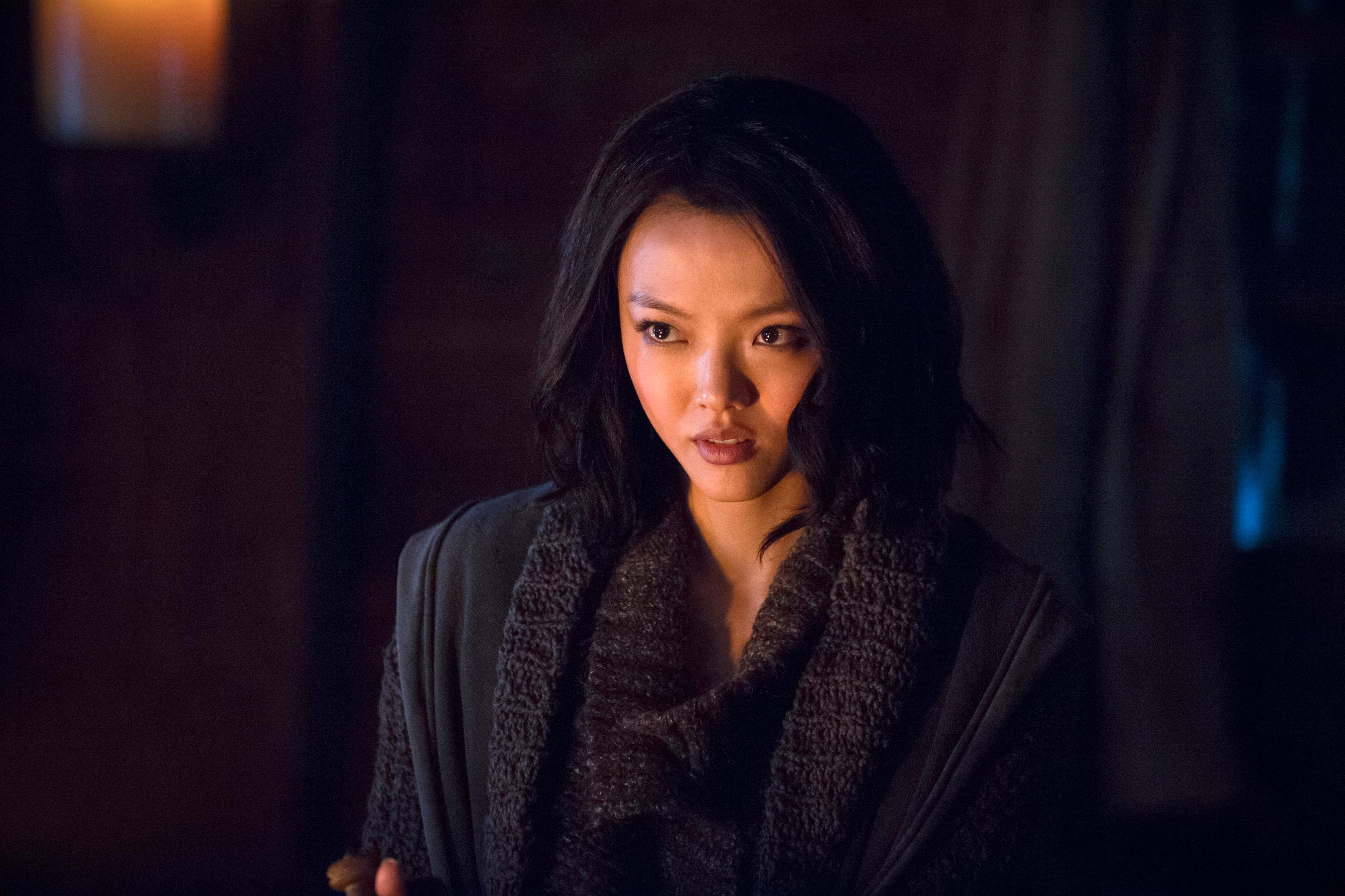 娱乐日报丨福岛莉拉回归绿箭侠第八季电影猎捕如期上映