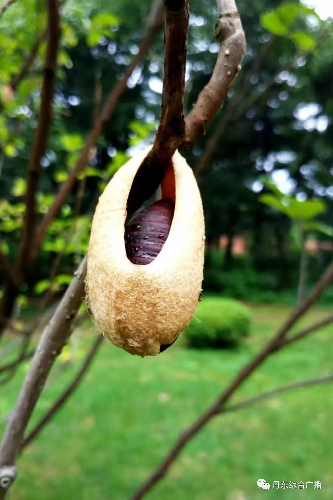 天气预报明日预告随手拍