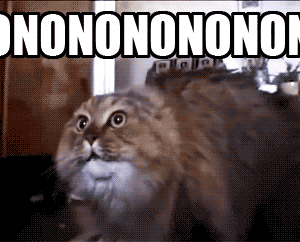 猫说nonono的动态表情包图片
