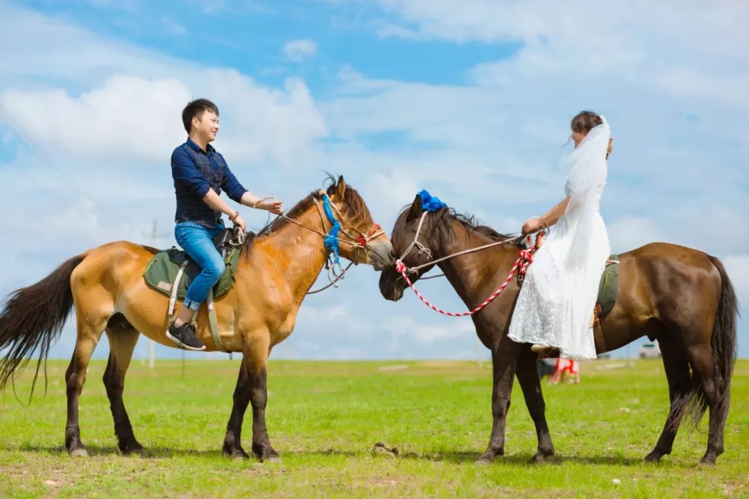 李菁麦子与麦麸67那个为她牵马的骑士终于来了
