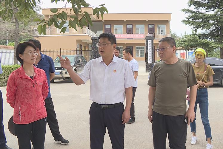 8月5日,县长尚玉良,副县长王润来到风陵渡镇凤凰咀护岸工程5号坝检查