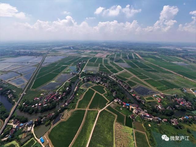 庐江这个小村,登上《经济日报》头版_张湾村