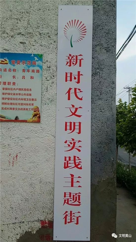 邹平杨堤片区图片