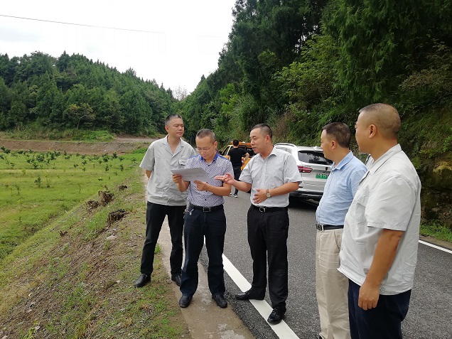 村农村电网升级改造情况和易地扶贫搬迁聚居点供电情况,并和东岱乡