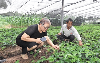 近日,省委,省政府印发《关于表扬2018年脱贫攻坚先进集体和先进个人的