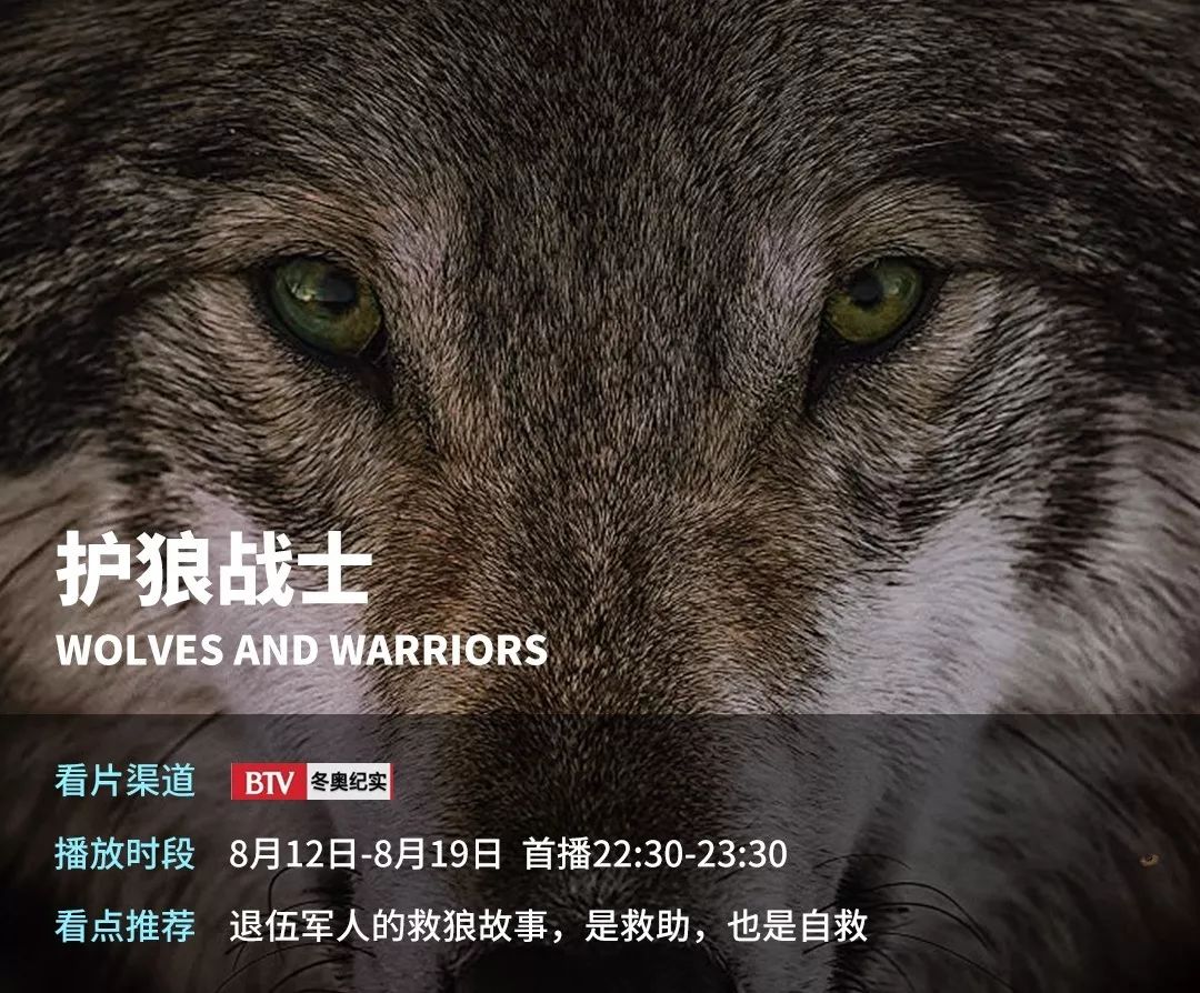 8月片单推荐护狼战士护狮娘子军