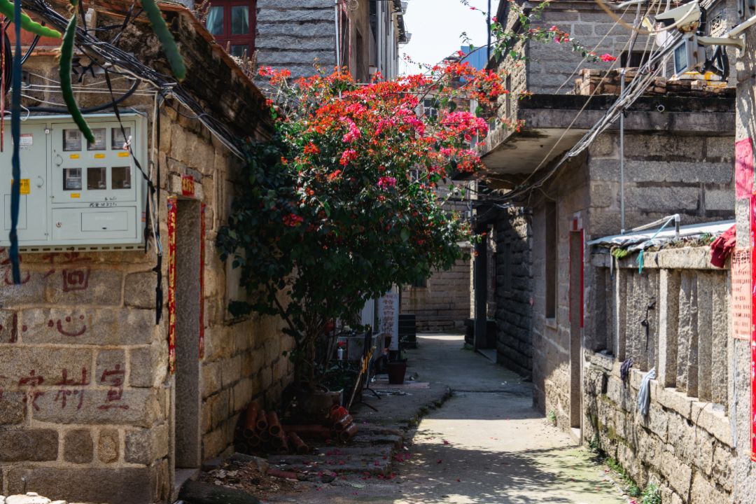 洛阳好好逛跟着这份攻略把洛阳走透透