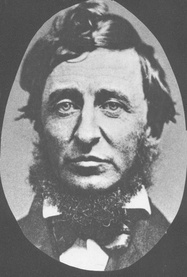 亨利·大卫·梭罗(henry david thoreau)意识到问题严重性的还有梭罗"
