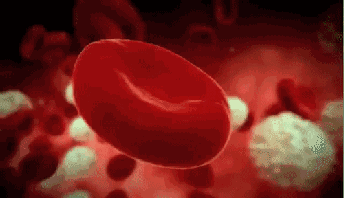 500_288gif 动态图 动图