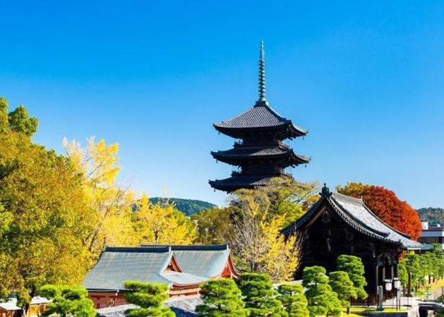 在东寺眺望京都地标“五重塔”!漫步于染上红叶色彩的园区_金堂