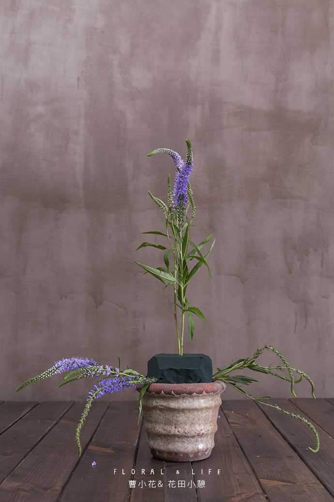 【花艺基础造型篇--对称三角造型】_插花