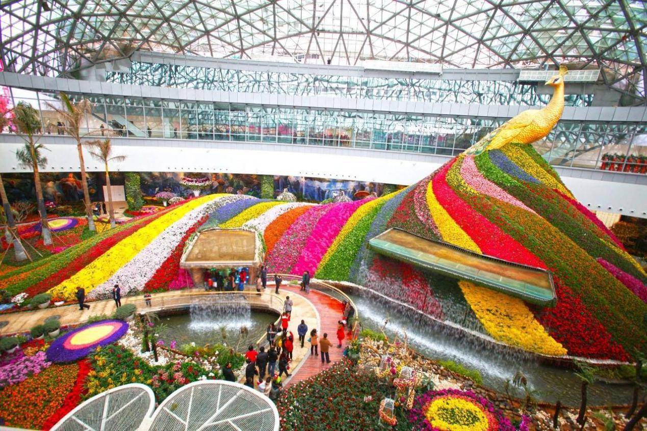 游昆明必须去的花之城打卡攻略干货满满