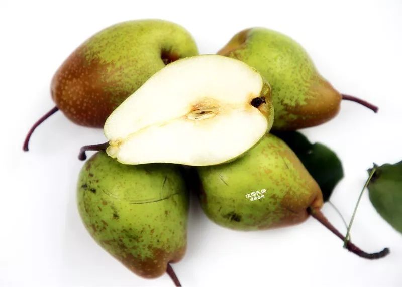 【福利】8月11日 || 邀你自驾去忠县精华农场避暑 乐享68元福利包(五