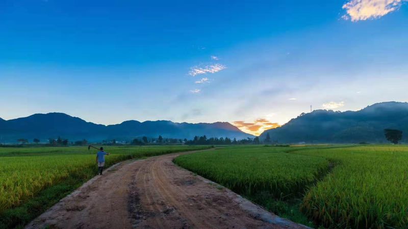 800扫描乡村生活图景立秋正得秋而万宝成