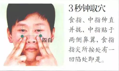 【每日一穴】：四白穴_主治