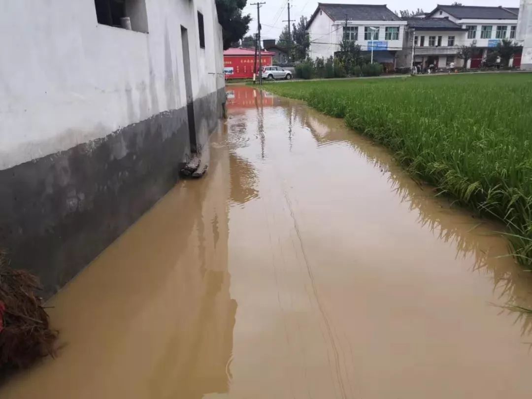 昨夜汉中多县区遭暴雨袭击多处道路被水淹没