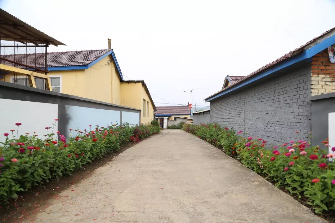 美丽乡村蝶变之路小桥流水人家这里是柳河镇