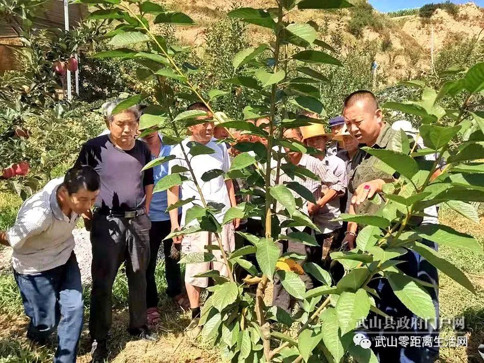 咀头乡举办建档立卡贫困户果树种植技能培训班