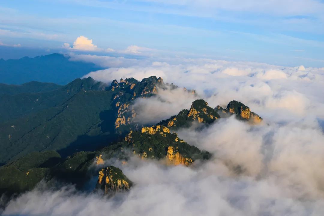 逃离城市蒸煮老君山云海给你送清凉