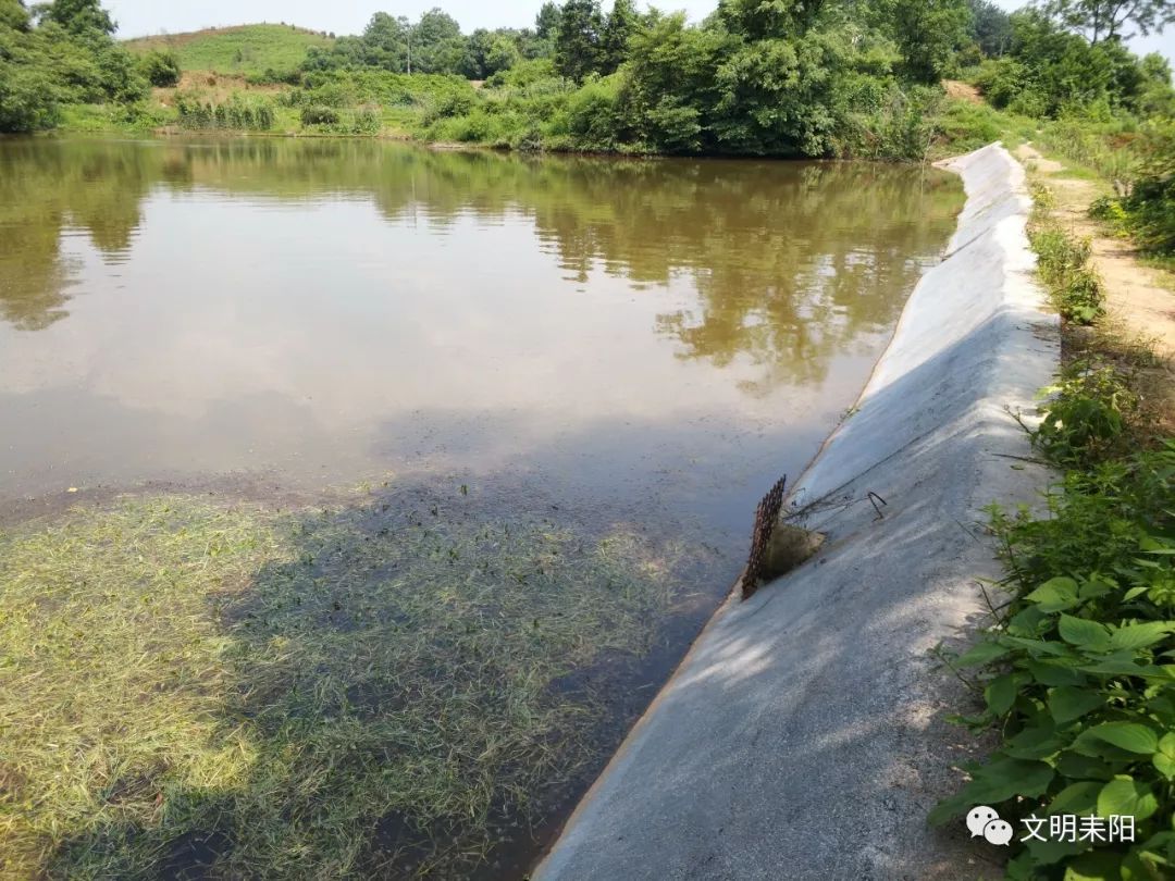 村里为水塘打造了防护坡石坝墩村在发展种养殖产业的同时,也不断