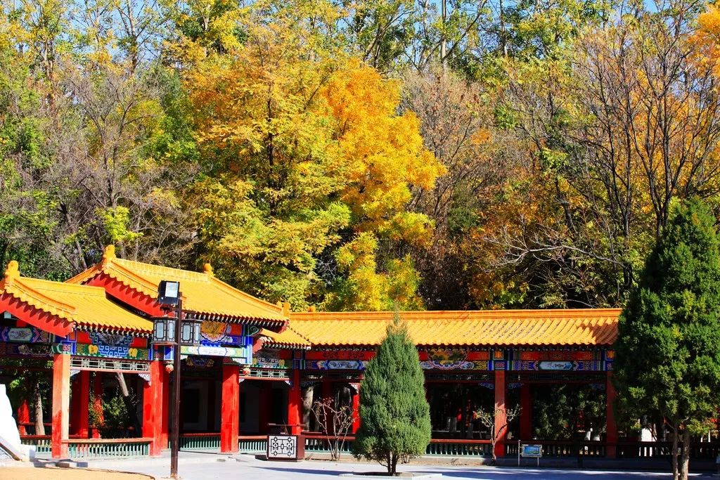 京藏高速金積至滾泉段(銀川往固原方向)全封閉;銀百高速寧東至甜水堡