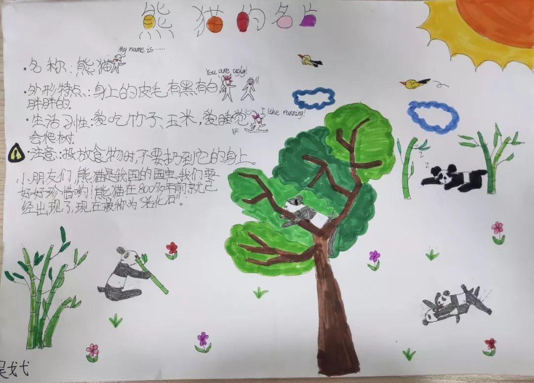 奇智有声美文熊猫的名片61微课堂科普小知识四