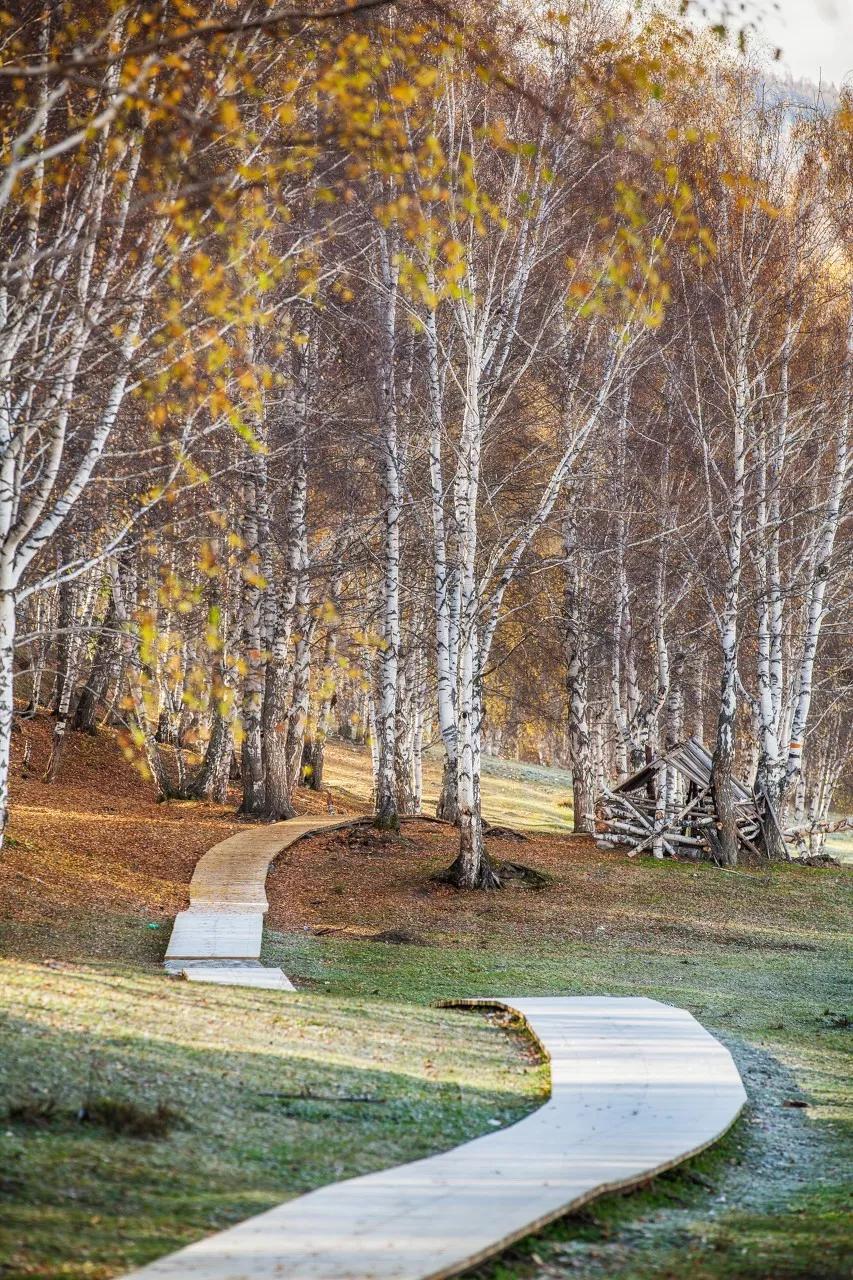 积翠的大森林渐渐变红变黄,湖水变得平静深沉,村庄变得悠远宁静.