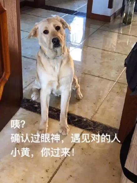 不小心打翻女朋友的化妆品咋办?没关系,下辈子注意点