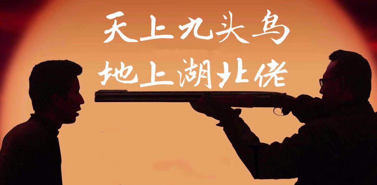 提到湖北省,有很多朋友就会想起一句话:"天上九头鸟,地上湖北佬".