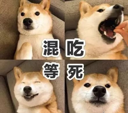 沙雕搞笑gif图快乐一夏,就到天天表情惯例深夜放毒从不缺席图片整理