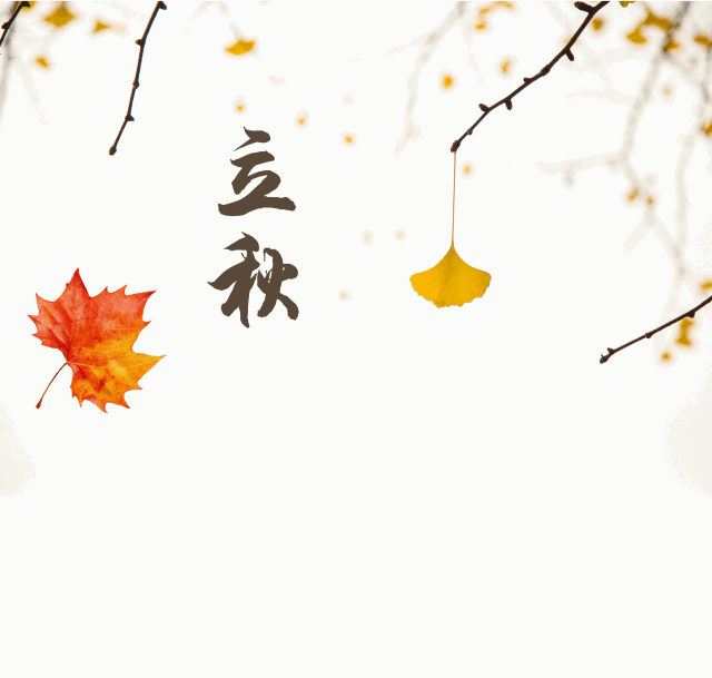 立秋,是二十四节气中的第13个节气,也是秋天的第一个节气,标志着孟秋