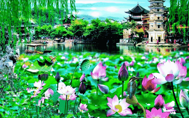 640_400gif 动态图 动图