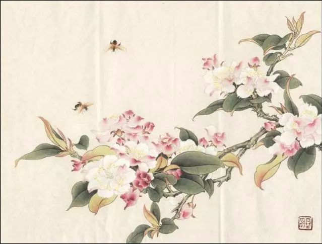 临余致贞西府海棠图设色步骤