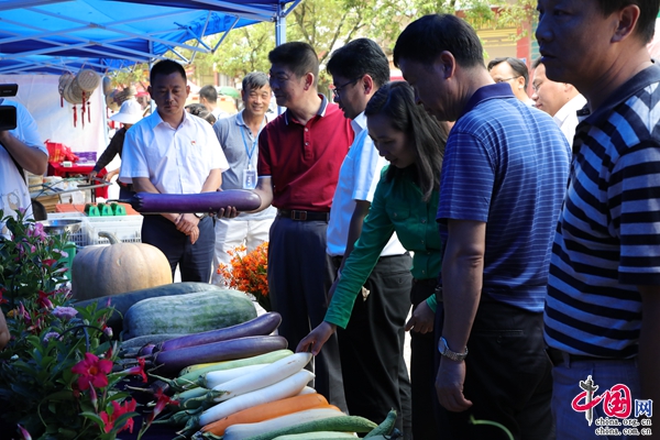 昆明马街镇图片