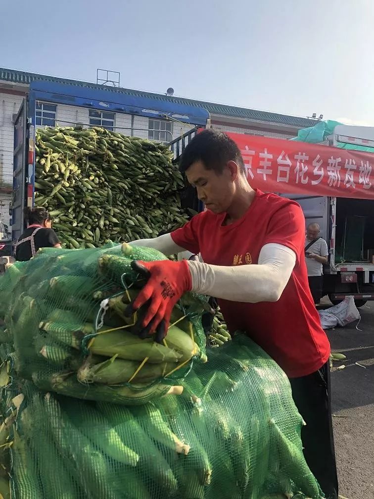 今年3月,北京新發地農產品批發市場董事長張玉璽帶領玉米大王李忠躍等