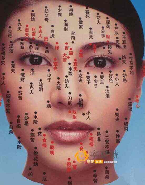老刘说易面相知识