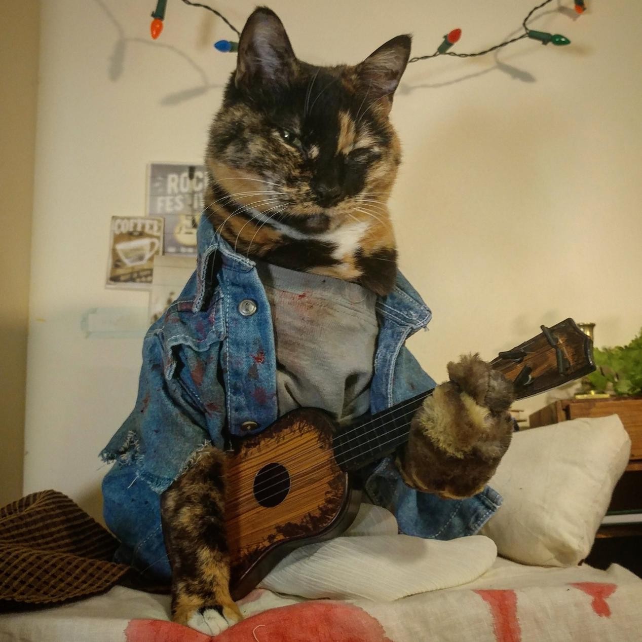 而对于热爱游戏的"猫奴"来说,让自己猫咪cos自己喜爱的游戏角色,两份