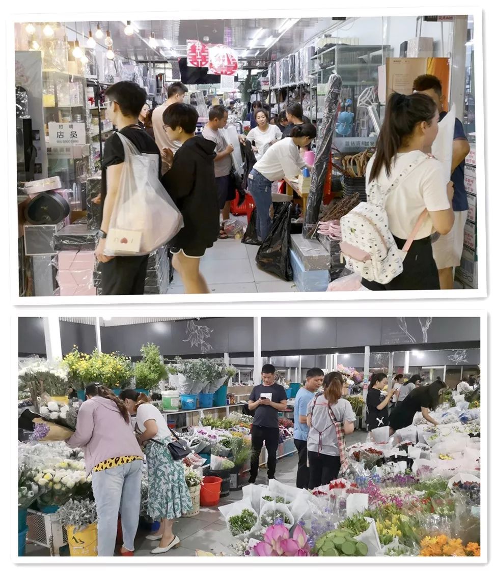 盛华宏林:以花为媒,打造国际一流花卉资源共享与服务平台